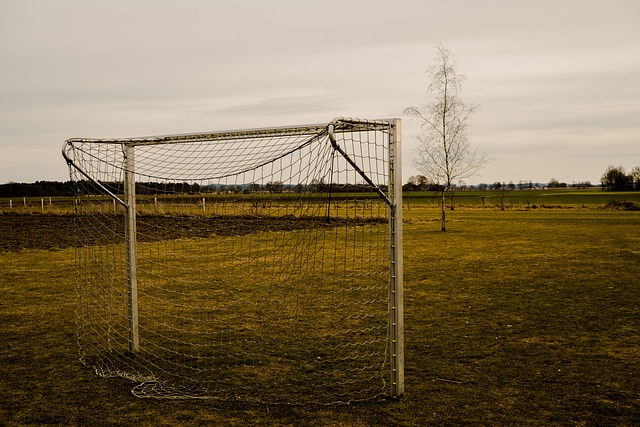 Fodboldmål i træ eller metal: Hvad er bedst til dit hold?